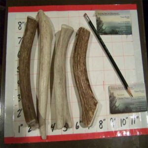 1LB Mediums – 4 Medium inner cores – Dogs in the 25lb – 40lb range – Options – BEST SELLER