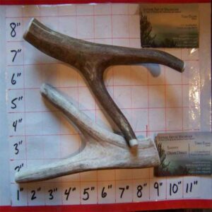 2 MEDIUM SIZE FORKS – 4.5 to 5.5 ounce – Free Extra Option with Smaller dogs