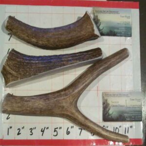 1.5lbs- 3 Large Antler Variety – Moose, Elk, Deer – NO FORKS – OPTIONS- 65lbers and down