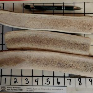 THREE 8″ XL Elk SPLITS – Pick the strength – 8oz – BEST SELLER