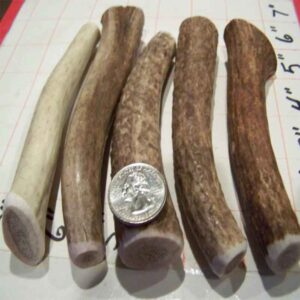 Small Dogs and Puppies - COMBO PACKS and Long Smalls