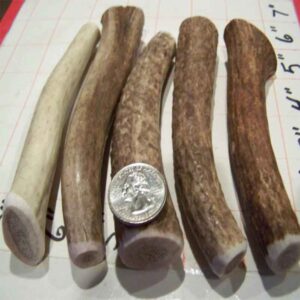 5 SMALLS – Choose your Strength – Dogs below 20lbs