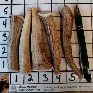 5 Extra Small Dog Chews 4″ to 5″ – Customize with a note 🙂