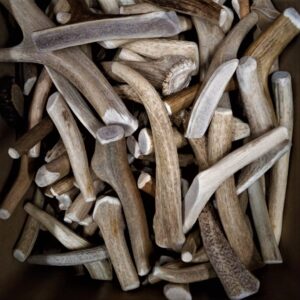 Medium to XL Wholes – 11 to 13 pieces-NIce Deal! Mid Grade