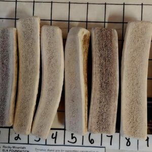 SIX PACK 5″- 5.5″ Elk SPLITS – Pick your strength- 1Lb+ for 15-35lbers – Best Seller#1