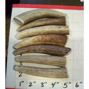 7 Small Antler Dog Chews – 1 LB – Medium Hard to Harder Strength or Choose your Strength