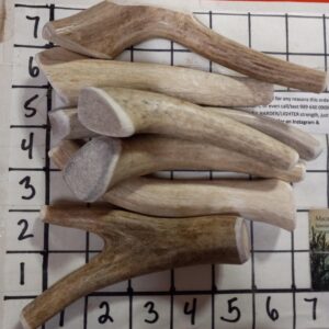 SEVEN SMALL Antler Dog Chews – Medium Core — TOP SELLER