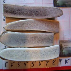 FOUR MEDIUM Elk SPLITS – HARD INNER CORE – 1.2lbs