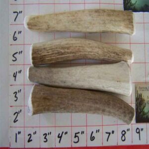 21 to 40lb Dogs – Medium Size COMBO PACKS