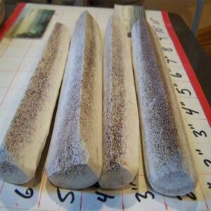 6″ to 8 “QUARTER Elk SPLIT by the piece – MEDIUM Inner Core FUN for PUPPIES﻿﻿﻿﻿- 4 to 4.5 ouncers