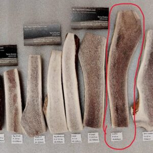 Jumbo Elk Split- Good for dogs 70-80lbs (9.5 to 10oz) Medium to Medium Hard