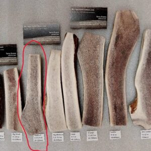 Medium Elk Split- Good for dogs 25-35lbs (4.3 to 5 ounce)