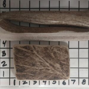 Medium Sizes Variety – Whole – Split- Moose – 1LB – 3pk Variety! Fun 35-50lbers