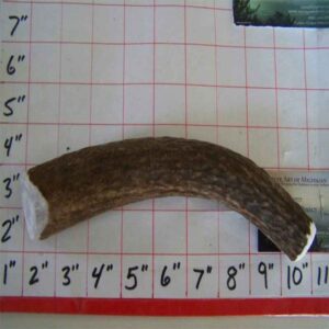 ONE 9″ X-LARGE ELK – HARD INNER CORE – 9 to 10 ounce