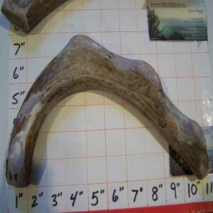 66 to 75lb Dogs – Jumbo Size COMBO PACKS and Cool Singles