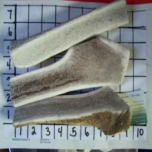 Split Antler Bundles by Size