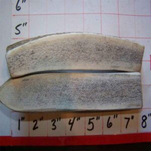 TWO 7″ LARGE Elk SPLITS – Medium Strength – 55 to 65lbers – 13oz’s NOW – Options