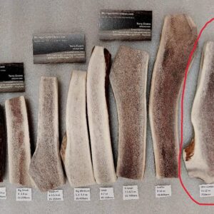 Ultra Jumbo Elk Split – Good for dogs over 75lbs (11 to 12oz) – Medium Hard to Hard