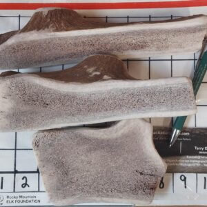 Monster Split – 13 oz – 14oz