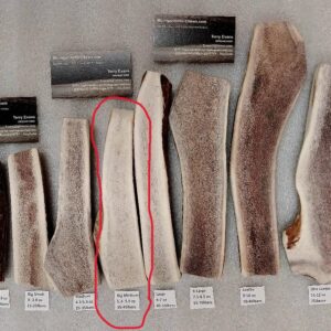 “Big Medium” Elk Split – Good for dogs 35-45lbs (5.2- 5.8 ounce) – AWESOME DEAL!