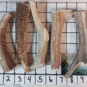 1LB Big Smalls “Small Mediums” 5 per pound – Your Choice / Medium to Hard – LOVE THESE – OPTIONS