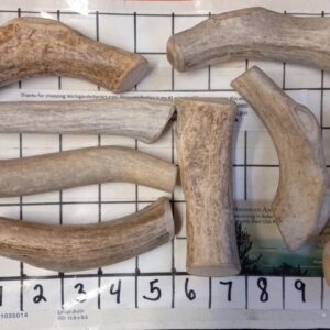 Lasting Busy Bones “Antler” 4 Chews – Option for 5