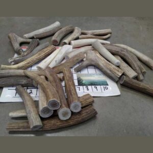 LIGHT CORE WHOLES — EASY CHEWS – Small to Large Size only – Pick Your Sizes – UPDATED!!