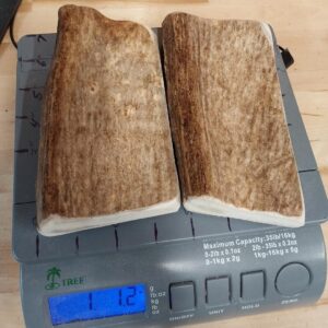 ALASKAN MOOSE UPPER PADDLE Medium Strength – NEW 8 to 10 ounce Each