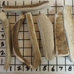 Puppy 6 Pack – Combo for Under 20 Lbers – Whole and Split Combo – Moose/Elk/Mule Deer!! FUN!