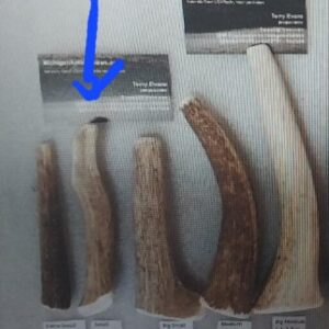 10 to 15lbers – Small Antler Chew – (2.2 to 2.9 oz)