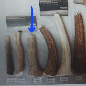 20 to 30 lbers – Big Small/Small Medium Antler Chew- (3 to 3.6 oz) – NICE SIZE/Favorite Here