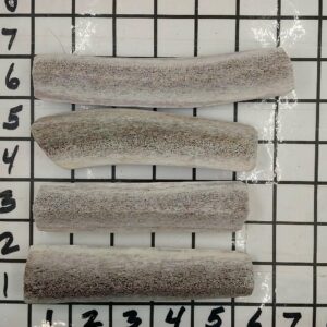 Extra Small/Small Elk Quarter Split – #1 Chew for little dogs – 1.5 to 2.1 ounce