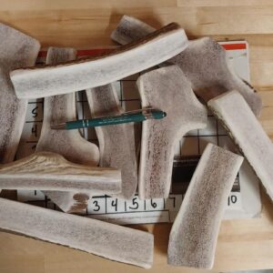 Medium to XL SPLITS – 5 to 10 ounce – 9 to 11 pieces. MEDIUM TO MEDIUM HARD