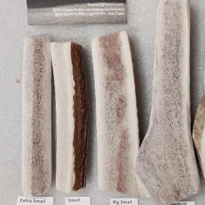 Split Antler by the Piece/Size