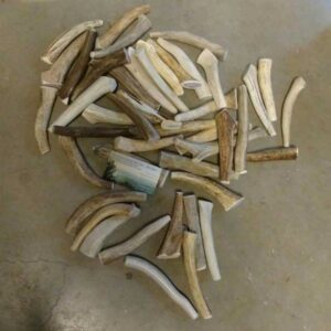 Smalls – Whole/ NO Split- HARD – SIZE OPTIONS