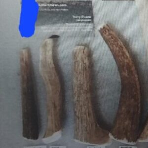 10lb and Under Dogs – Extra Small Antler Chew (1.5 to 2.1 oz)
