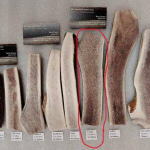 XL Elk Split – Dogs 55-75lbs (8 to 9oz) Medium to Med-Hrd (Options) See Description – Nicer ones