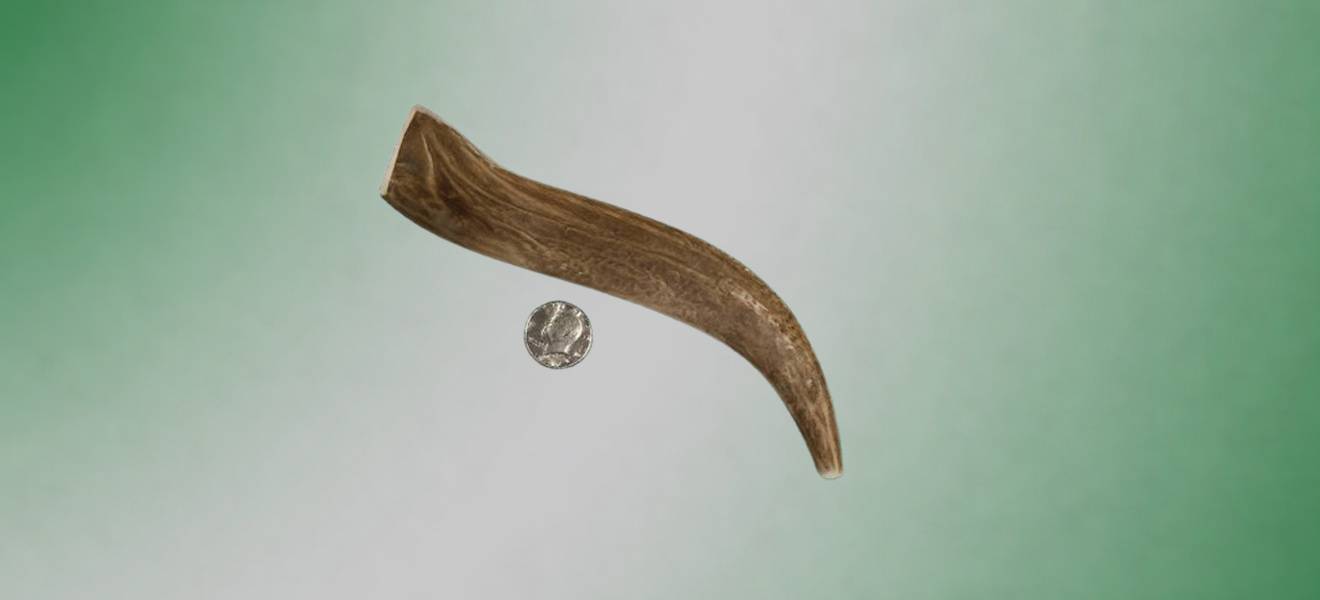 Long Lasting Antler Chews for Dogs